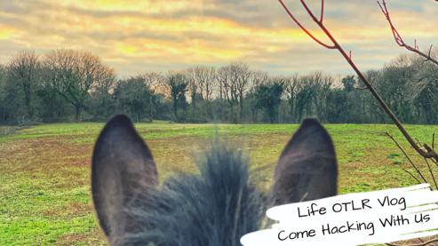 Come Hacking with us!! #BehindBanksysEars Horse ASMR LifeOTLR Vlog