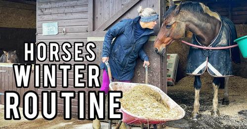 EQUESTRIAN WINTER ROUTINE | A Day in the Life Style Vlog