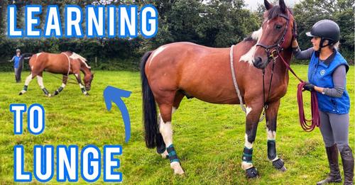 LEARNING TO LUNGE | And OC Update