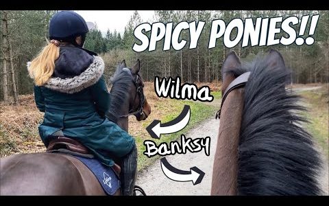 FUN FOREST RIDE with Meggy on our SPICY Ponies!!